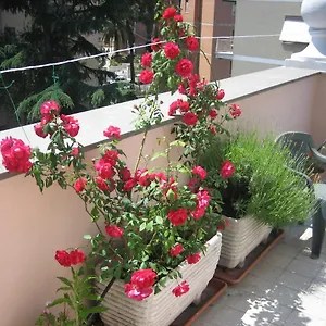 Le Terrazze Vatican Bed & Breakfast Roma